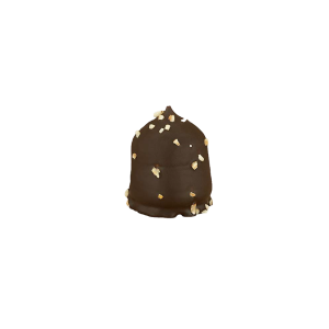 Chocozoen Rocher