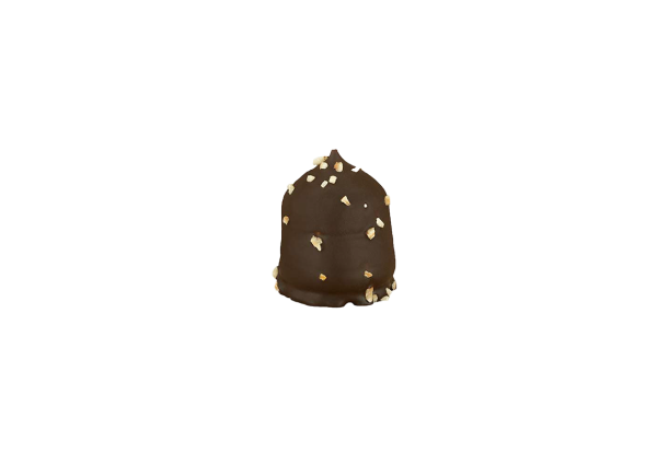 Chocozoen Rocher