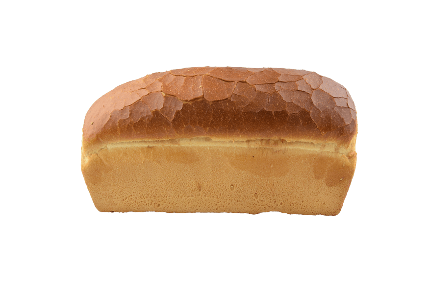 Witbrood